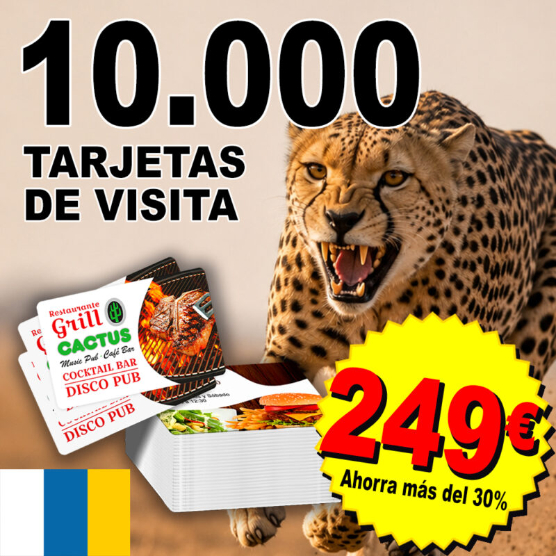 PACK AVANZADO 10.000 Tarjetas de visita