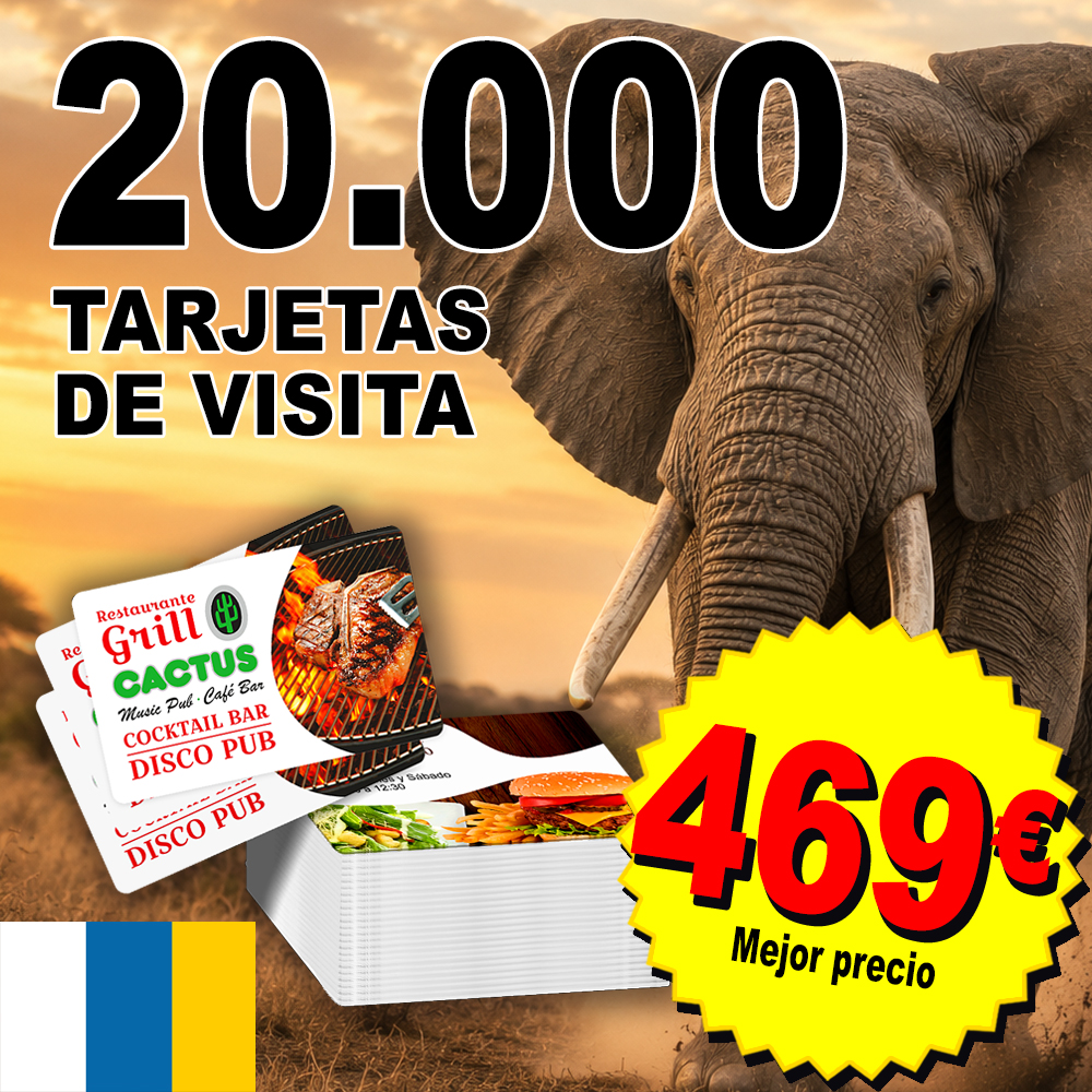 20.000 tarjetas de visita Las Palmas B2B